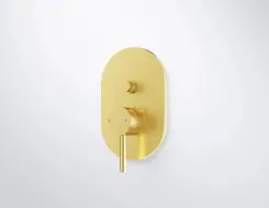 Εντοιχισμένο Συστημα Νιπτήρος και Ντους ST 100 Brushed Gold