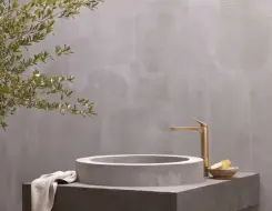 HansaGenesis High washbasin faucet Brushed bronze