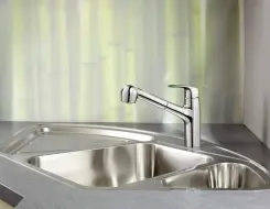 HANSA PINTO Kitchen faucet