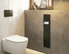 Εντοιχισμένη Χαρτοθήκη & Πιγκαλ μπάνιου EMCO ASIS 150 Black anodized