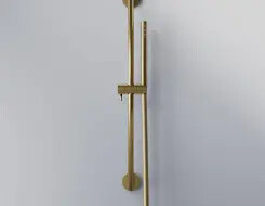 Series 340 shower set Brushed Gold