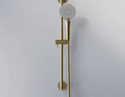 Series 340 shower set Brushed Gold