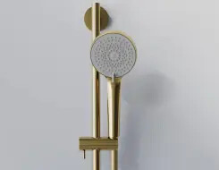 Series 340 shower set Brushed Gold