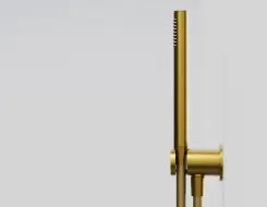 Series 340 hand shower set Brushed Gold