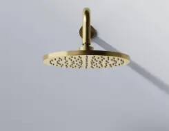 Series 340 rain shower ø 220 mm x 8 mm Brushed Gold