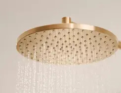 HANSA VIVA Overhead shower, d 250 mm Brushed bronze