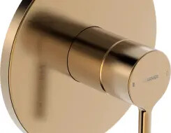 HANSA VANTIS Εντοιχισμένη αναμεικτική Ντους Brushed bronze