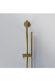 Series 340 shower set Brushed Gold